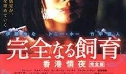 禁室培欲3香港情夜在线观看,香港情夜，激情燃烧的岁月